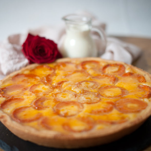Aprikosen-Kuchen